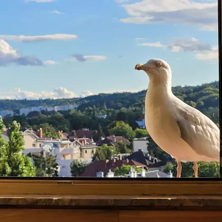 Sceneria Apartman Sopot
